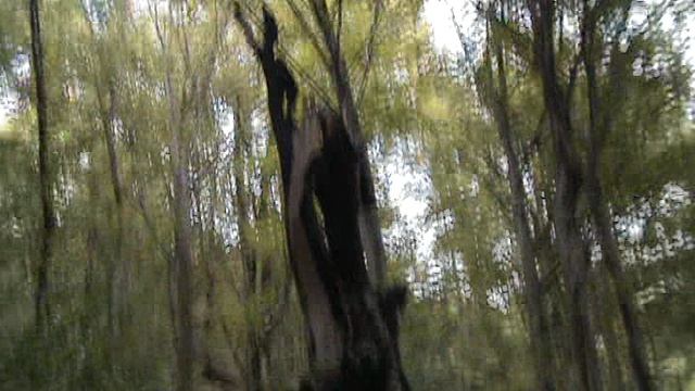 169и МАМЕДОВОЕ УЩЕЛЬЕ ВИОЛЕТТА