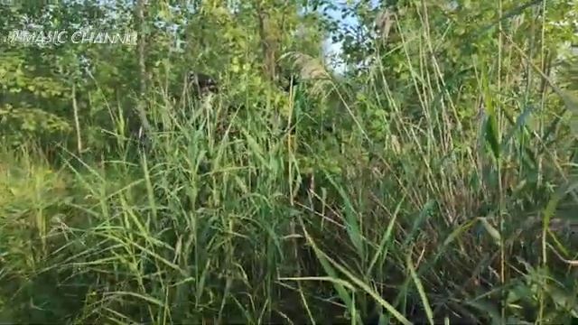 Производственная окраина города Иваново