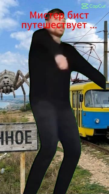 Мистер бист путешествует ...