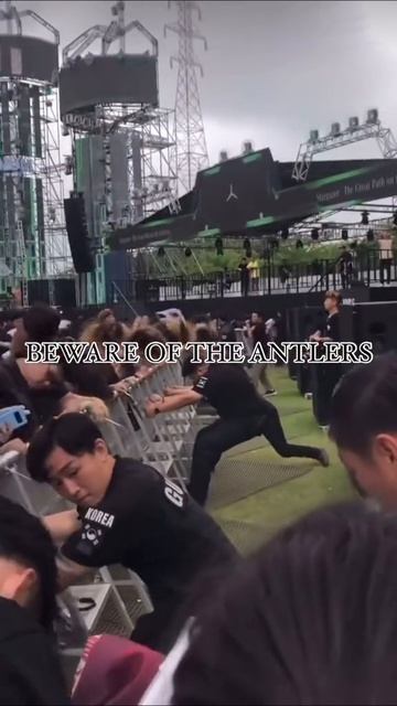 на концерте 