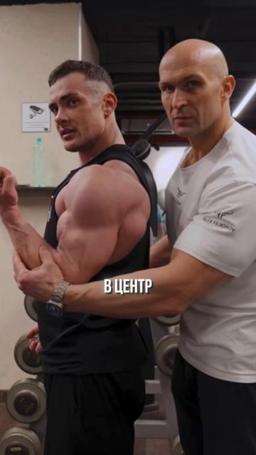 КАК НАКАЧАТЬ БОЛЬШОЙ БИЦЕПС?