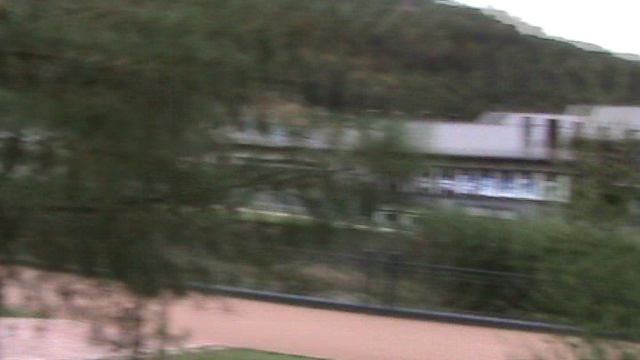 182й РОЗА ХУТОР МАМА И ВИОЛЕТТА