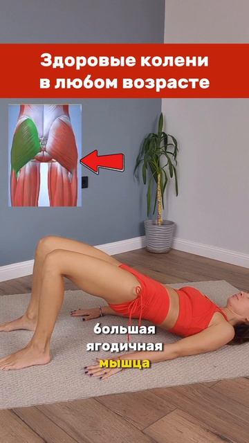 Здоровые колени в любом возрасте  Приглашаю в онлайн фитнес-Клуб всего за 100 р.  всех новеньких