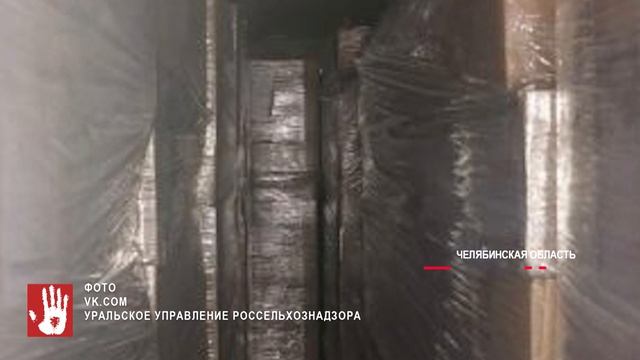 На границе Челябинской области с Казахстаном остановили крупную партию мороженого