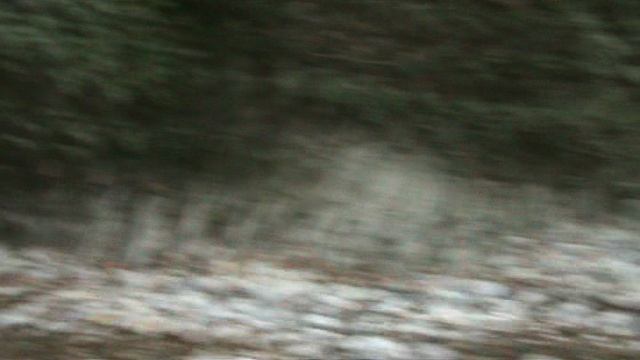 179и МАМЕДОВОЕ УЩЕЛЬЕ МАМА И ВИОЛЕТТА