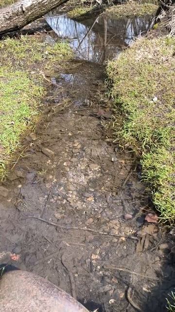 Весенний ручей