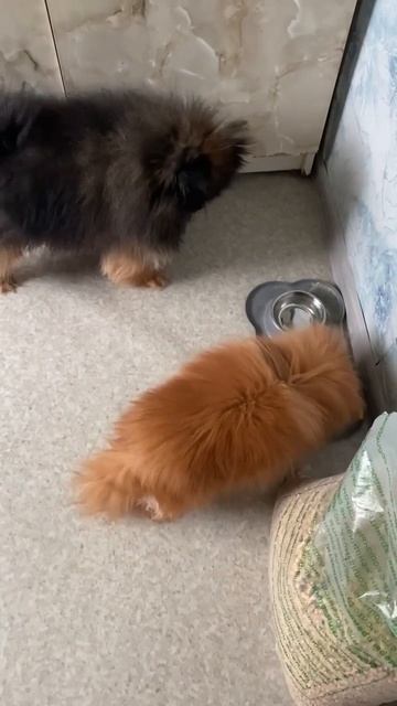 Так и до депрессии недалеко