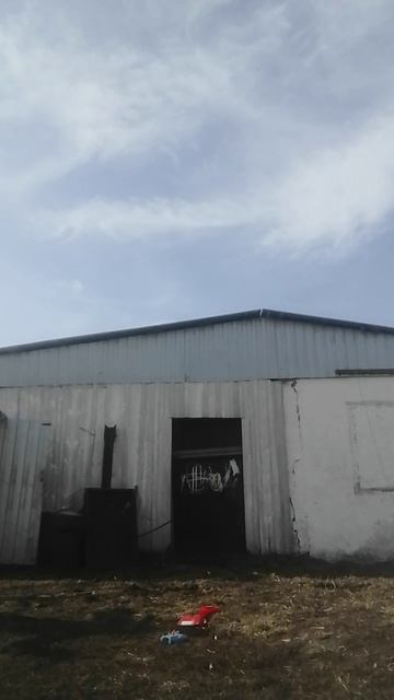 3 сумашедших друга