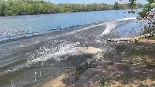 Quicksilver Heavy Duty 430