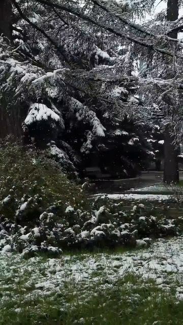 Пока апрель думает что он декабрь