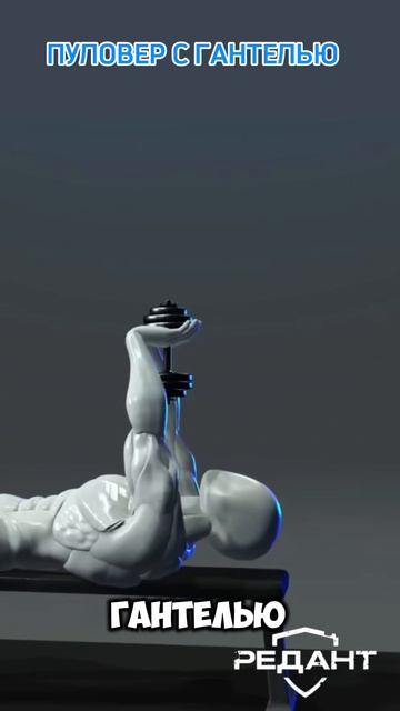 Тренируешься а спина не растёт?