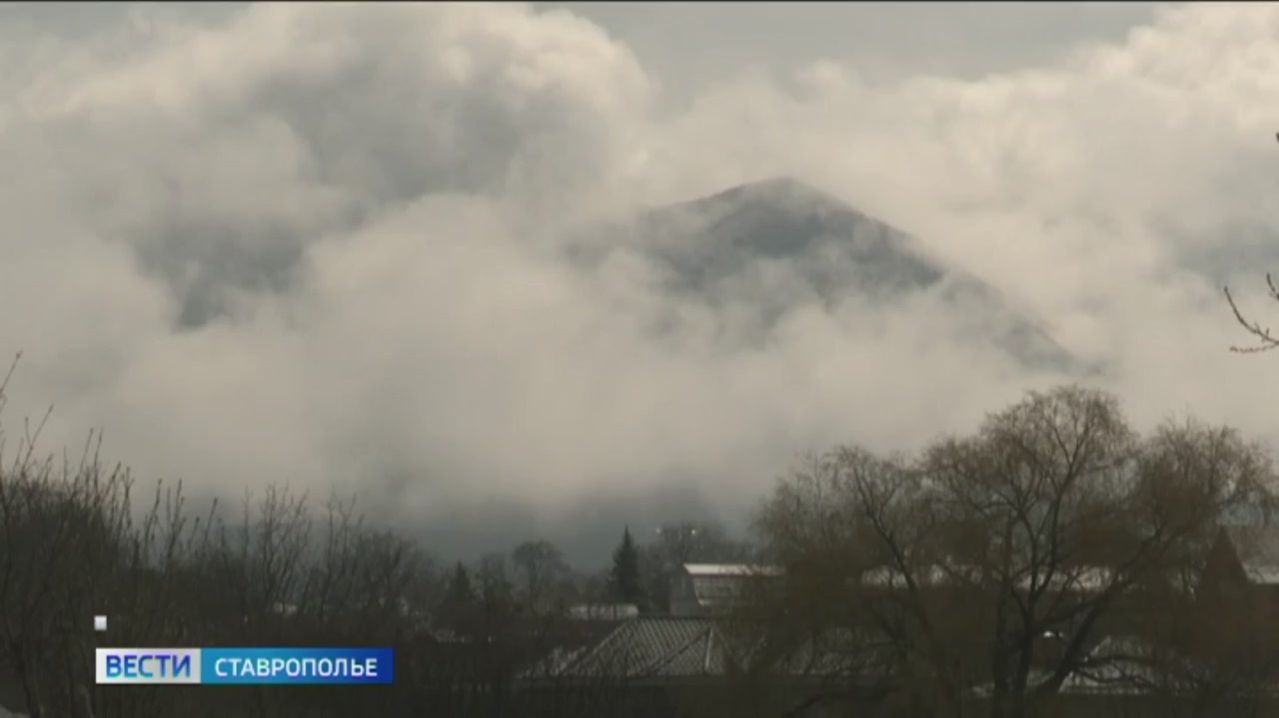 Прокуратура Ставрополья следит за выделением земельных участков ветеранам СВО
