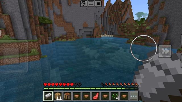 встреча с попугаем