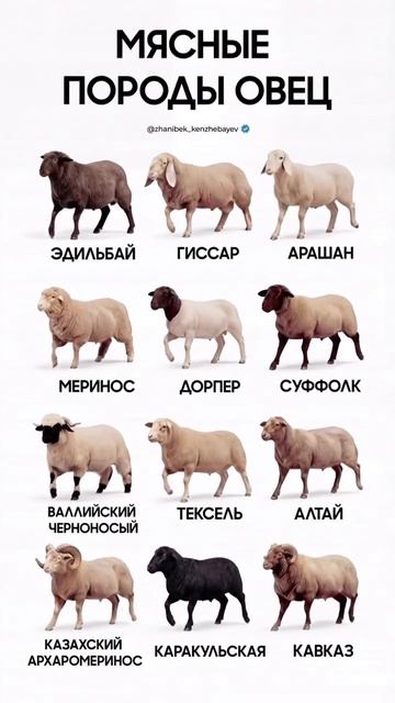 AQO_I7fdPFxT4mdRDGRuZUgKDF3YAeUOb7uh3mx96PsVQ8Z7nZyce8lQ9rTYsmhJdY