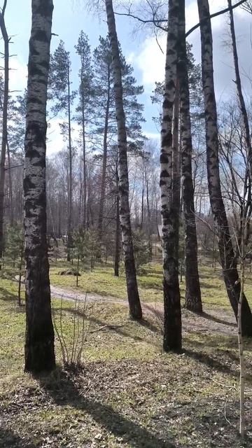 Весна в парке