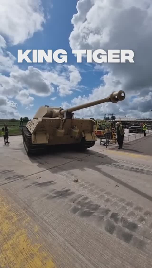King Tiger
