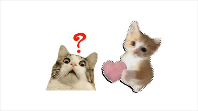 котяры вот и прогулялись 10 серия мультфильм для детей