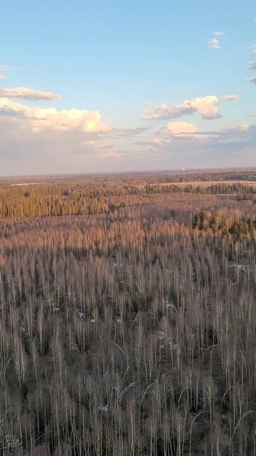 В юном месяце апреле