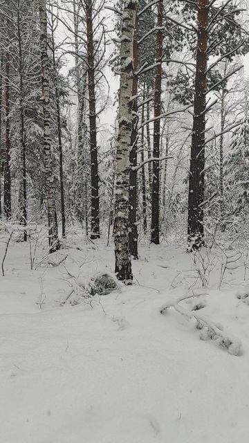 23 Апреля 2026