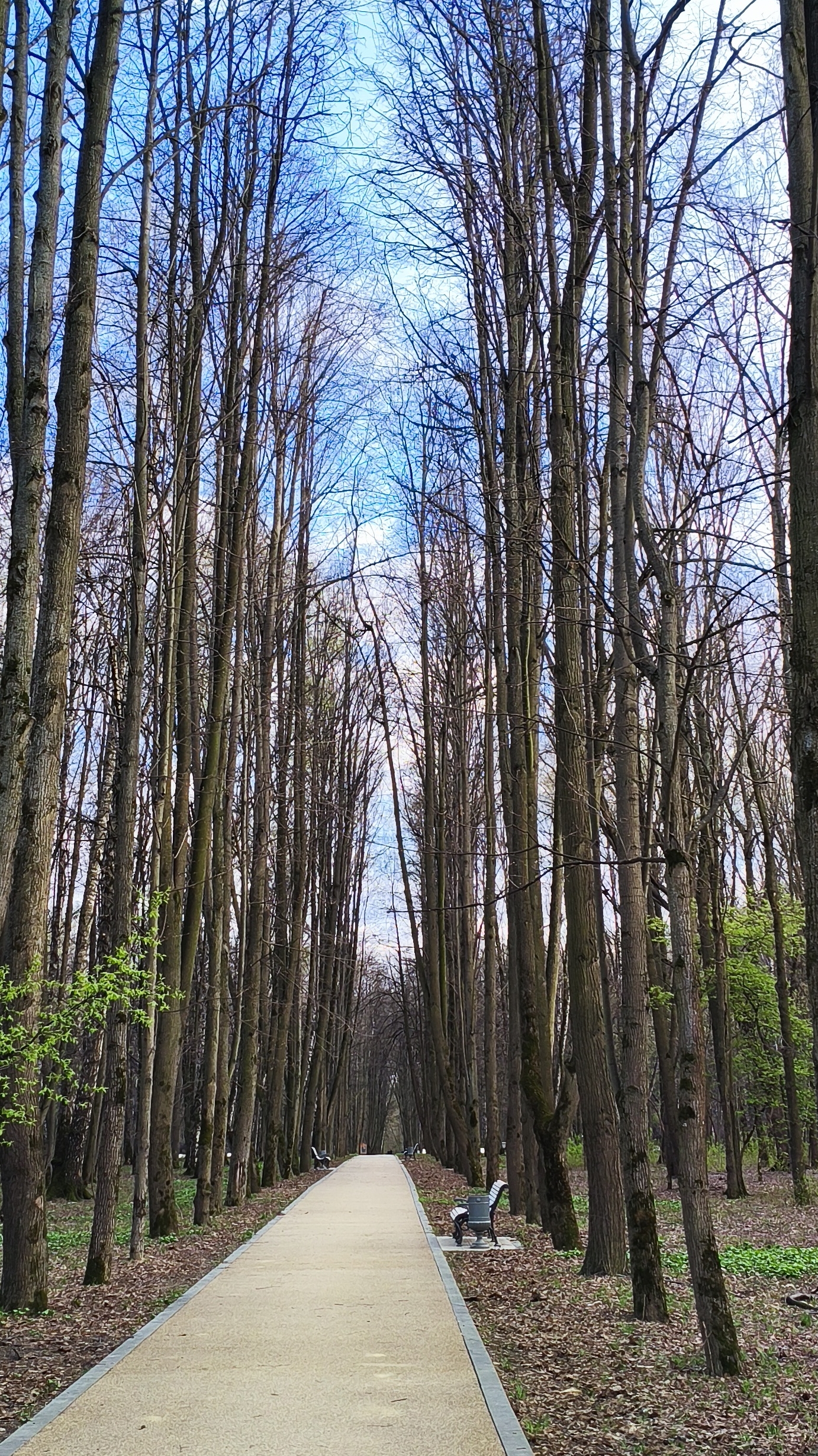 Просто кривляясь2018 год летоперед автостопом в Швейцарию