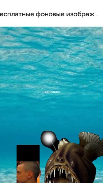 когда решил поплавать в реке амазонке