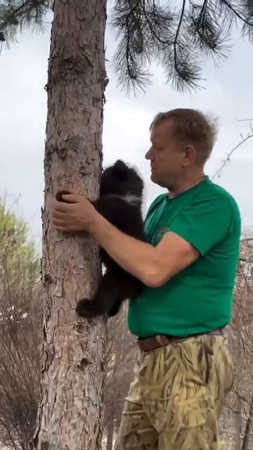 20260424  Шок: русский учит медведя быть медведем