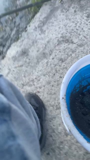 карпфишинг