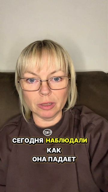 Поле не врет: предсказание которое сбылось 