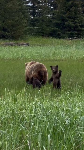 Video_2026-03-05_12-59-51