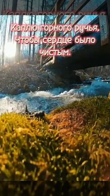 VID_20260424_154826_015.mp4