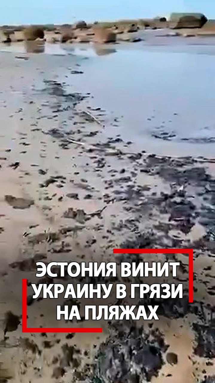 Эстония обвинила Украину в грязи на своих пляжах из-за ВСУ! Что случилось