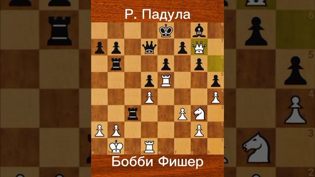 Бобби Фишер против Р. Падулы 1971  Разгром в сеансе в Буэнос-Айресе