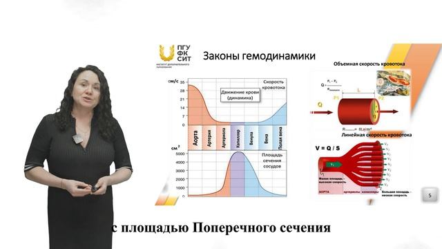 Лекция 4.2 Сосуды продолжение