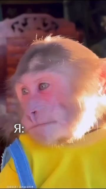 ДОМ ХРАМЦОВЫХ Кухни на заказ в Орле Туле Москве