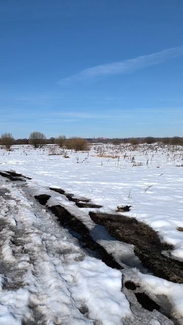 Дорога в поле