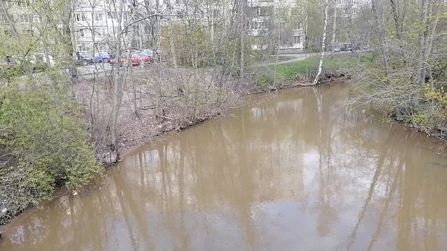 Заботимся о своем здоровье саминикому оно кроме нас не нужно Оккервиль