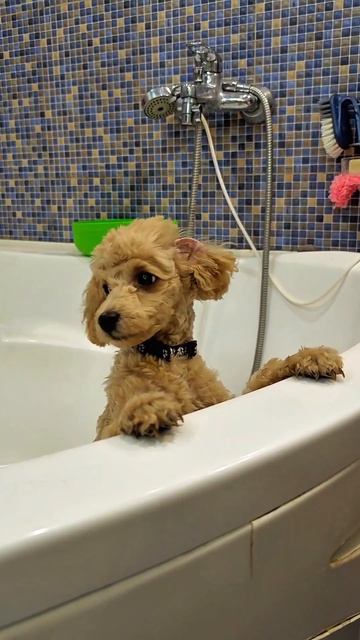 Вполне резонный вопрос :