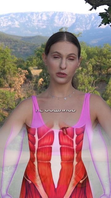 ПП не поможет убрать живот?