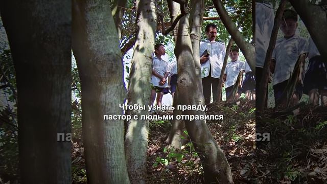 Хороший фильм на вечер !