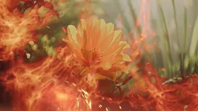 По пыльной дороге шагал человек