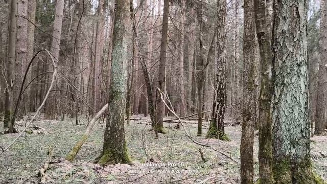 Прогулка 42   17.04.2026