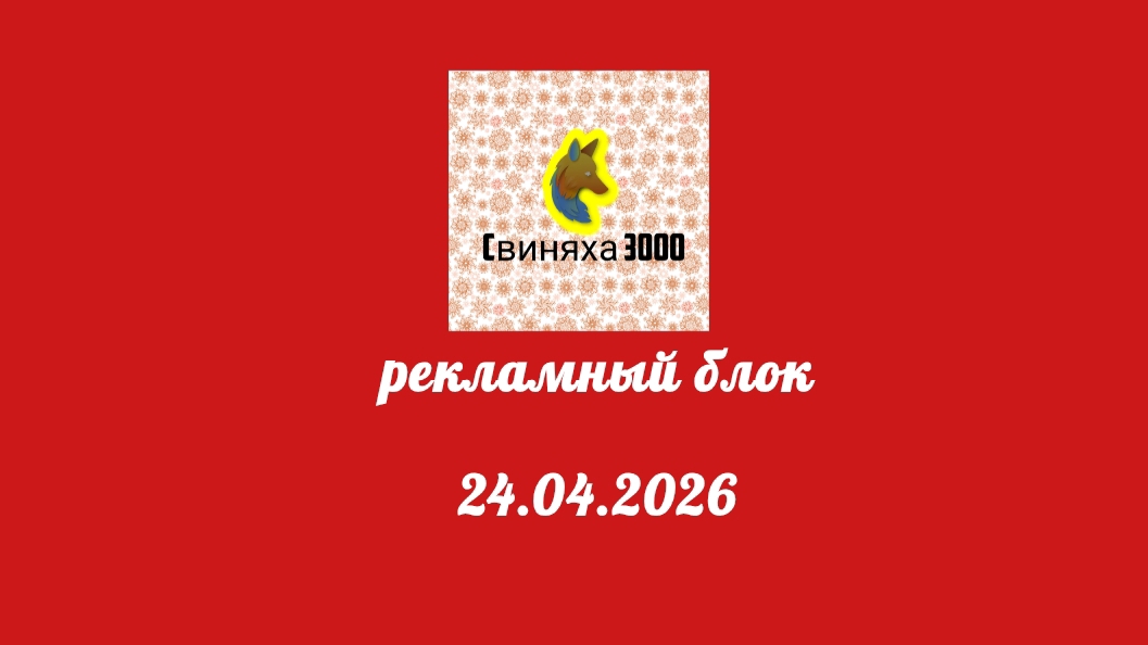 Рекламный блок Свиняха 3000 ТВ 24.04.2026
