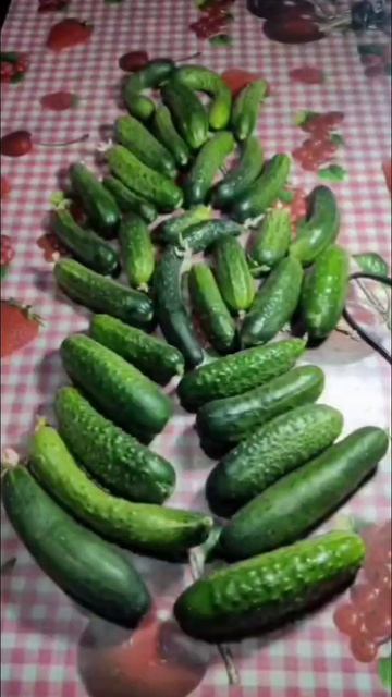 мой урожай 2025