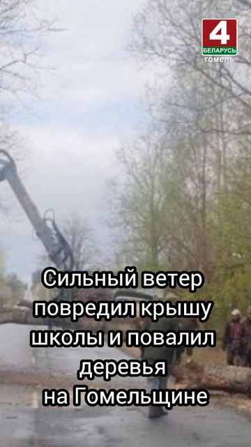 Сильный ветер повредил крышу школы и повалил деревья на Гомельщине