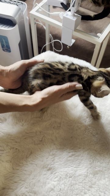 Оформление помета 3 ТЕРРА