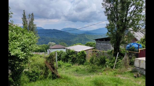 Песня: Холерик