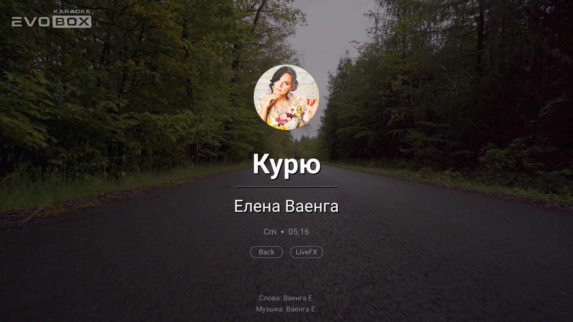 Елена Ваенга  Курю   караоке EVOBOX