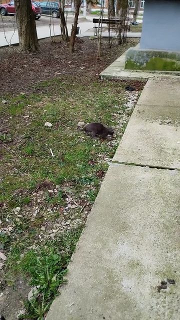 PXL_20260424_165336615