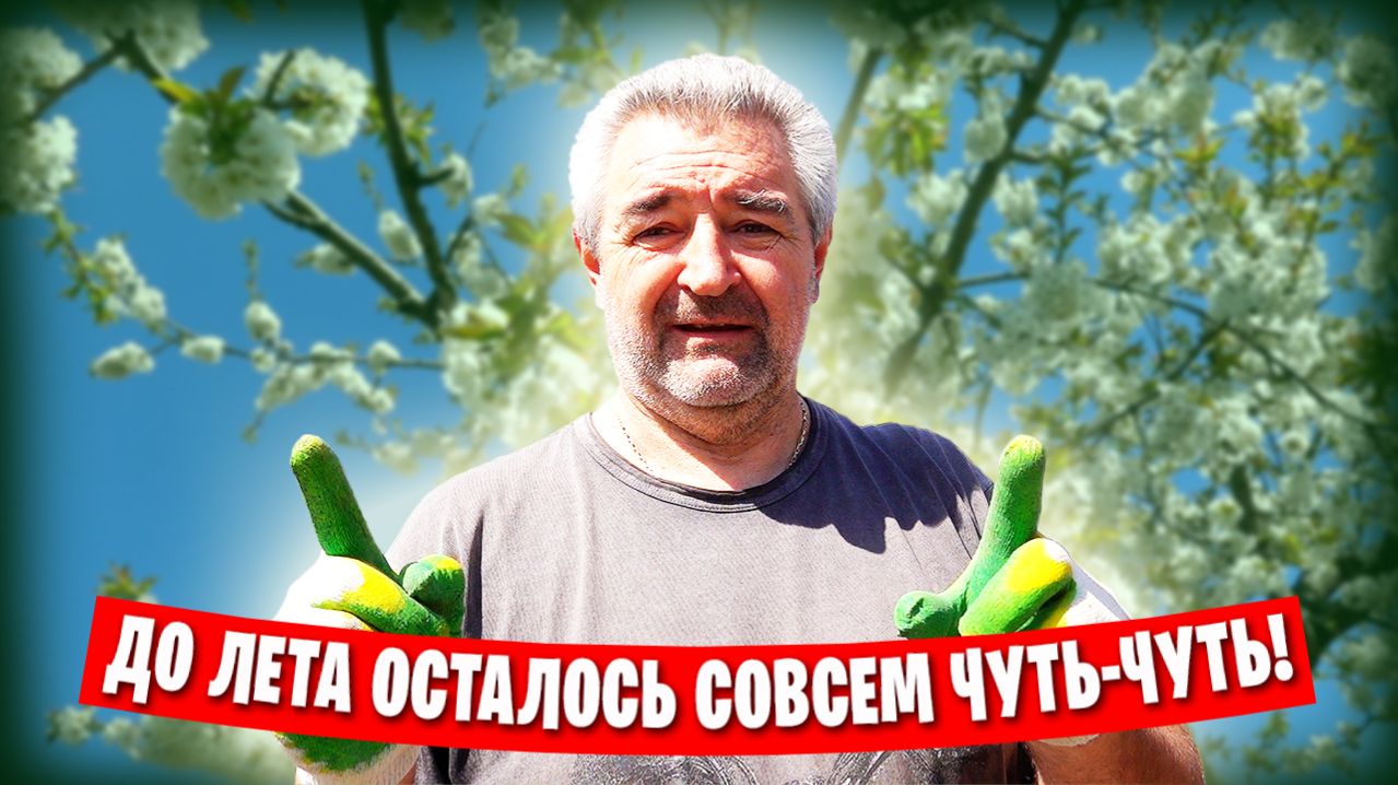 Работы на участке в апреле  Красная Горка - посетили могилы родственников  Теплица