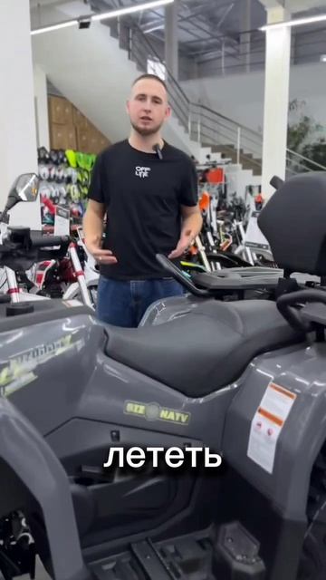 Квадроцикл  BIZON YK250 LUX EFI с ПСМ! 